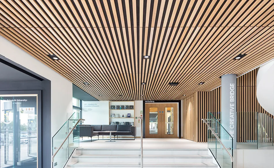 acoustic ceiling panels